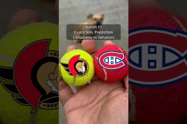 Cujo’s NHL Picks | Montreal Canadiens vs Ottawa Senators 🏒 03-11-2026 #CujoCatches