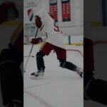 Hockey Stickhandling Drills and Skills with MaxPro Hockey Club