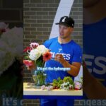 Joel Hofer and Dylan Holloway make Valentine's Day bouquets 💐