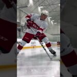 НОВАЯ КЛЮШКА X17🏒, Именно такой играет Василий Пономарев(ХК Авангард)😉#hockey #khl