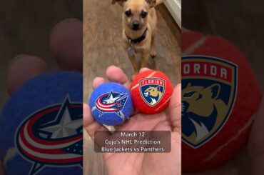 Cujo’s NHL Picks | Columbus Blue Jackets vs Florida Panthers 🏒 03-12-2026 #CujoCatches