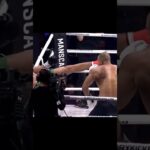 Best comeback ever #knockout #badrhari #arkadiuszwrzosek