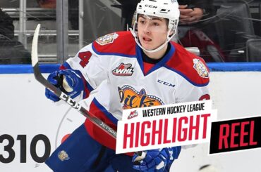 2018-19 HIGHLIGHT REEL | Josh Williams