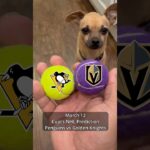 Cujo’s NHL Picks | Pittsburgh Penguins vs Vegas Golden Knights 🏒 03-12-2026 #CujoCatches
