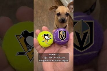 Cujo’s NHL Picks | Pittsburgh Penguins vs Vegas Golden Knights 🏒 03-12-2026 #CujoCatches