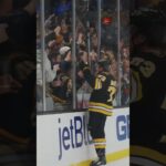 YOUR HONOR, IT’S BEAUTIFUL 🤩