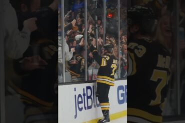 YOUR HONOR, IT’S BEAUTIFUL 🤩