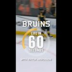 Viktor Arvidsson’s Real MVP Is His Dog – Bruins Life in 60 Seconds