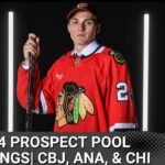 TOP 5 NHL PROSPECTS POOL COUNTDOWN| #5-3: Columbus, Anaheim, & Chicago