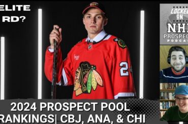 TOP 5 NHL PROSPECTS POOL COUNTDOWN| #5-3: Columbus, Anaheim, & Chicago