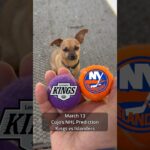 Cujo’s NHL Picks | Los Angeles Kings vs New York Islanders 🏒 03-13-2026 #CujoCatches