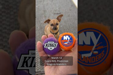 Cujo’s NHL Picks | Los Angeles Kings vs New York Islanders 🏒 03-13-2026 #CujoCatches