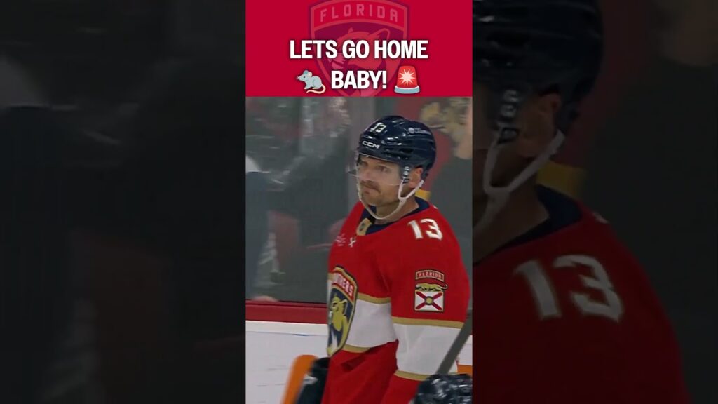 Cardiac Cats are BACK? 🚨🚨🚨