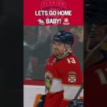 Cardiac Cats are BACK? 🚨🚨🚨