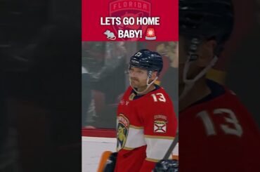 Cardiac Cats are BACK? 🚨🚨🚨