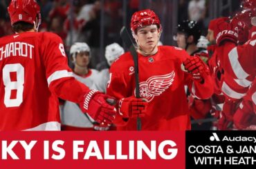 Is The Sky Falling For The Detroit Red Wings | Costa and Jansen