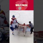 The Wolf Pack Protects the Net!