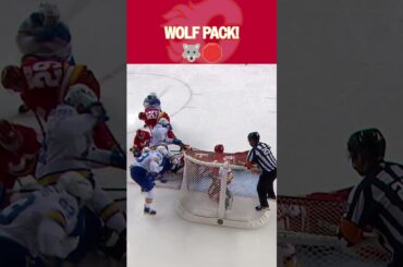 The Wolf Pack Protects the Net!