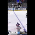 SO BEAUTIFUL  #hockey #nhl