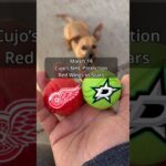 Cujo’s NHL Picks | Detroit Red Wings vs Dallas Stars 🏒 03-14-2026 #CujoCatches