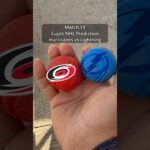 Cujo’s NHL Picks | Carolina Hurricanes vs Tampa Bay Lightning 🏒 03-14-2026 #CujoCatches