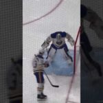 #goaliedance James Reimer