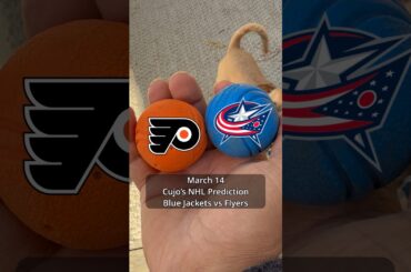 Cujo’s NHL Picks | Columbus Blue Jackets vs Philadelphia Flyers 🏒 03-14-2026 #CujoCatches
