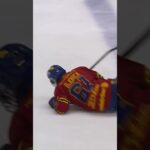 Brian Cooper matchstraff (Växjö Lakers HC mot Djurgården Hockey på Hovet i SHL i Sverige) (#Shorts)