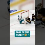 William Eklund with a CRAZY goal 😱🤢 #nhl #hockey