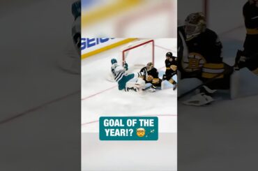 William Eklund with a CRAZY goal 😱🤢 #nhl #hockey