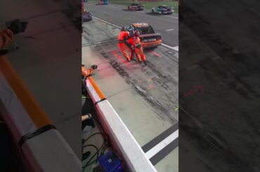 Wait! Wait! Waaaiii …