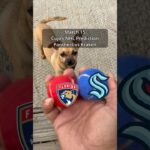 Cujo’s NHL Picks | Florida Panthers vs Seattle Kraken 🏒 03-15-2026 #CujoCatches
