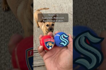 Cujo’s NHL Picks | Florida Panthers vs Seattle Kraken 🏒 03-15-2026 #CujoCatches