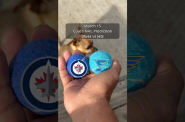 Cujo’s NHL Picks | St. Louis Blues vs Winnipeg Jets 🏒 03-15-2026 #CujoCatches