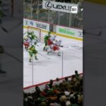 What a finish by Gavi 😮‍💨 #vladislavgavrikov #nyr #nhl #hockey #goal