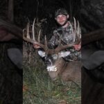 The CJ Alexander Buck situation explained