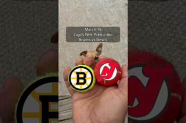 Cujo’s NHL Picks | Boston Bruins vs New Jersey Devils 🏒 03-16-2026 #CujoCatches