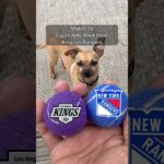 Cujo’s NHL Picks | Los Angeles Kings vs New York Rangers 🏒 03-16-2026 #CujoCatches