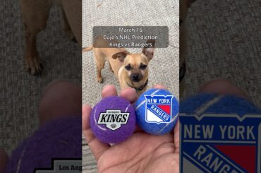 Cujo’s NHL Picks | Los Angeles Kings vs New York Rangers 🏒 03-16-2026 #CujoCatches