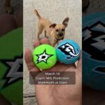 Cujo’s NHL Picks | Utah Mammoth vs Dallas Stars 🏒 03-16-2026 #CujoCatches