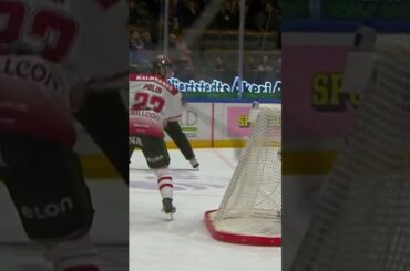 Egor Polin zorromål (Örebro HK mot Linköping HC i Saab Arena i Linköping i SHL i Sverige) (#Shorts)