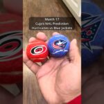 Cujo’s NHL Picks | Carolina Hurricanes vs Columbus Blue Jackets 🏒 03-17-2026 #CujoCatches
