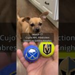 Cujo’s NHL Picks | Buffalo Sabres vs Vegas Golden Knights 🏒 03-17-2026 #CujoCatches