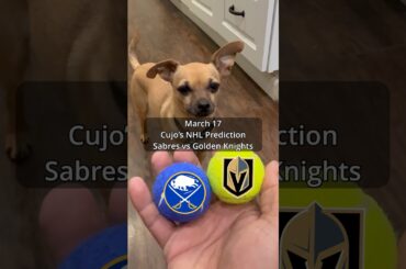 Cujo’s NHL Picks | Buffalo Sabres vs Vegas Golden Knights 🏒 03-17-2026 #CujoCatches