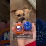 Cujo’s NHL Picks | New York Islanders vs Toronto Maple Leafs 🏒 03-17-2026 #CujoCatches