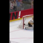 Paul Cotter with a Spectacular Short Goal vs. Boston Bruins