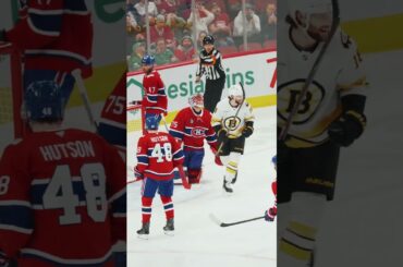 How about another one?