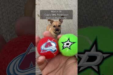 Cujo’s NHL Picks | Dallas Stars vs Colorado Avalanche 🏒 03-18-2026 #CujoCatches