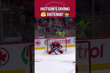 It's a bird... It's a LANE! 🦸‍♂️