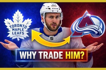 Why Did Toronto Trade Nicolas Roy So Fast ?